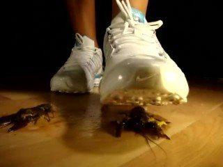 Sneakers crush bugs