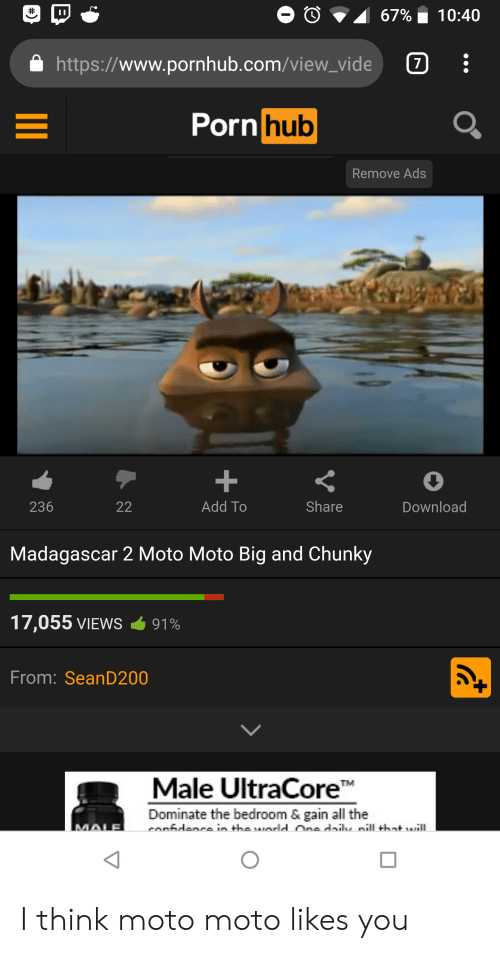 Madagascar moto chunky