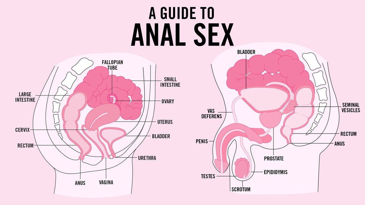 Pics educational guide anal beginners