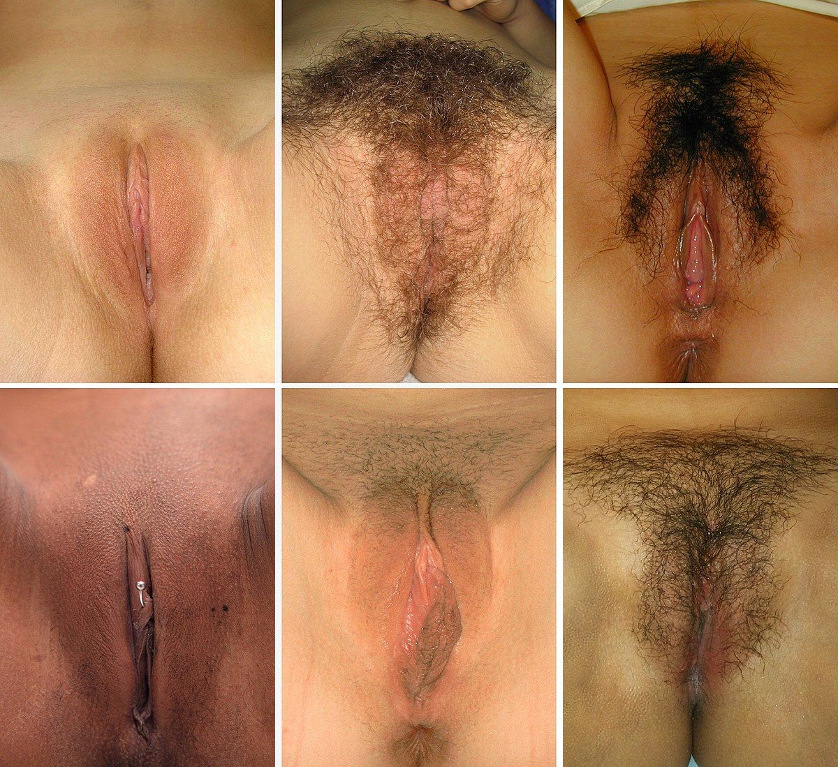 Shaving muslim pussy after take virginity