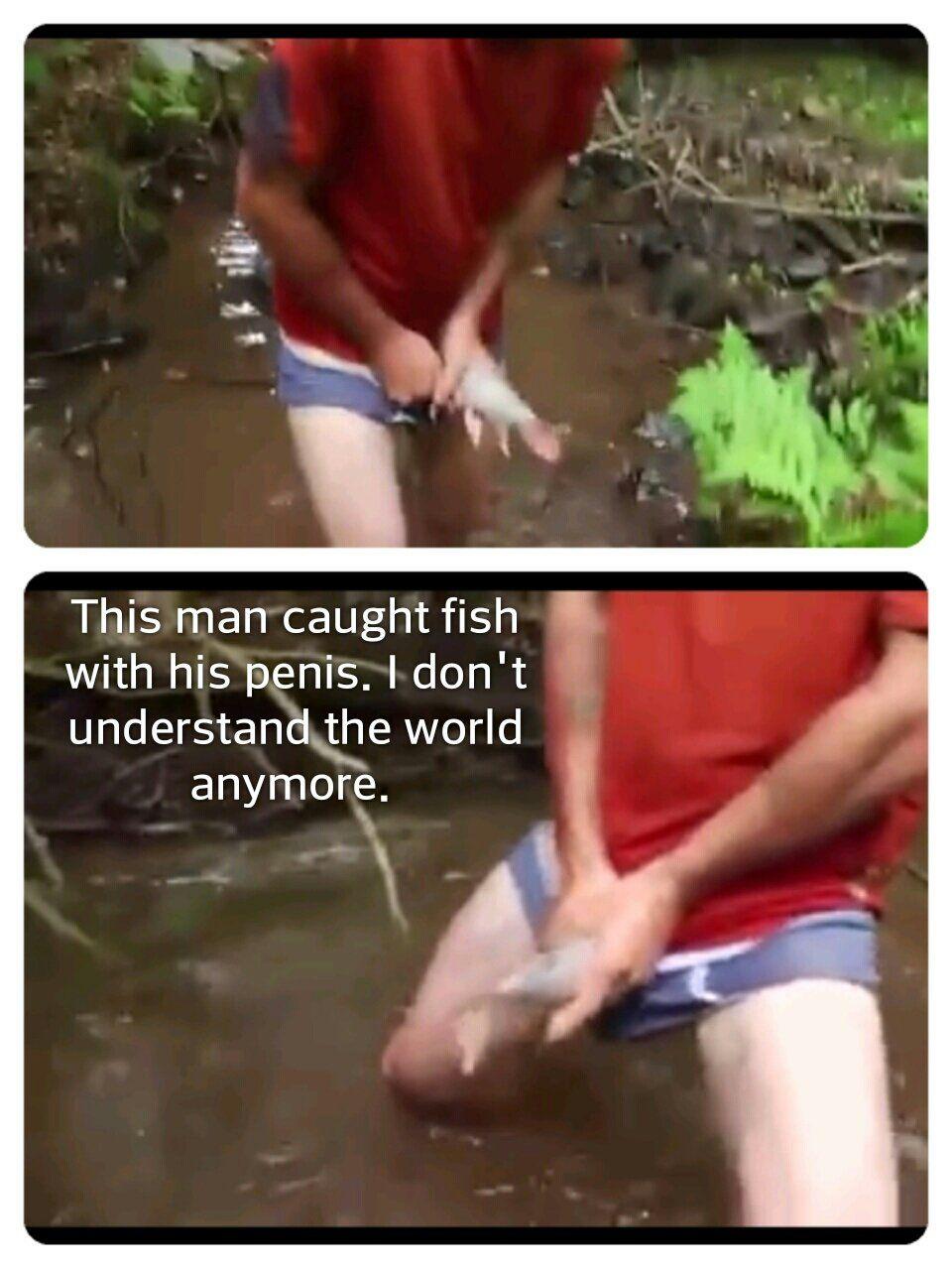 best of Penis into Fish swims