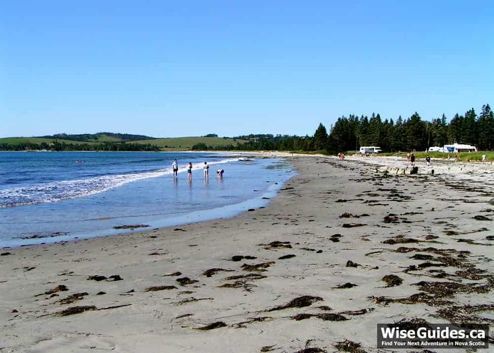 Golden G. reccomend Nude nova scotia beaches