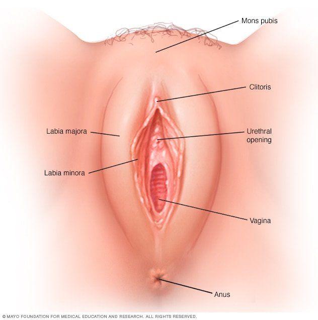Casper reccomend Can genital herpes cause swollen vagina