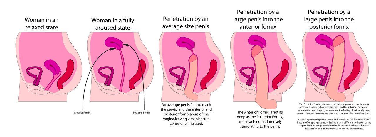 best of Postures Vaginal penetration