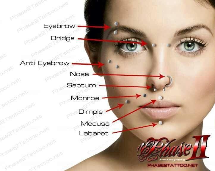 Dandelion reccomend Different facial peircings