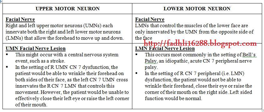 Fuzz reccomend Right upper neuron facial lesion