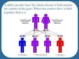 Is tay sachs autosomal dominate, recessive, or sex linked