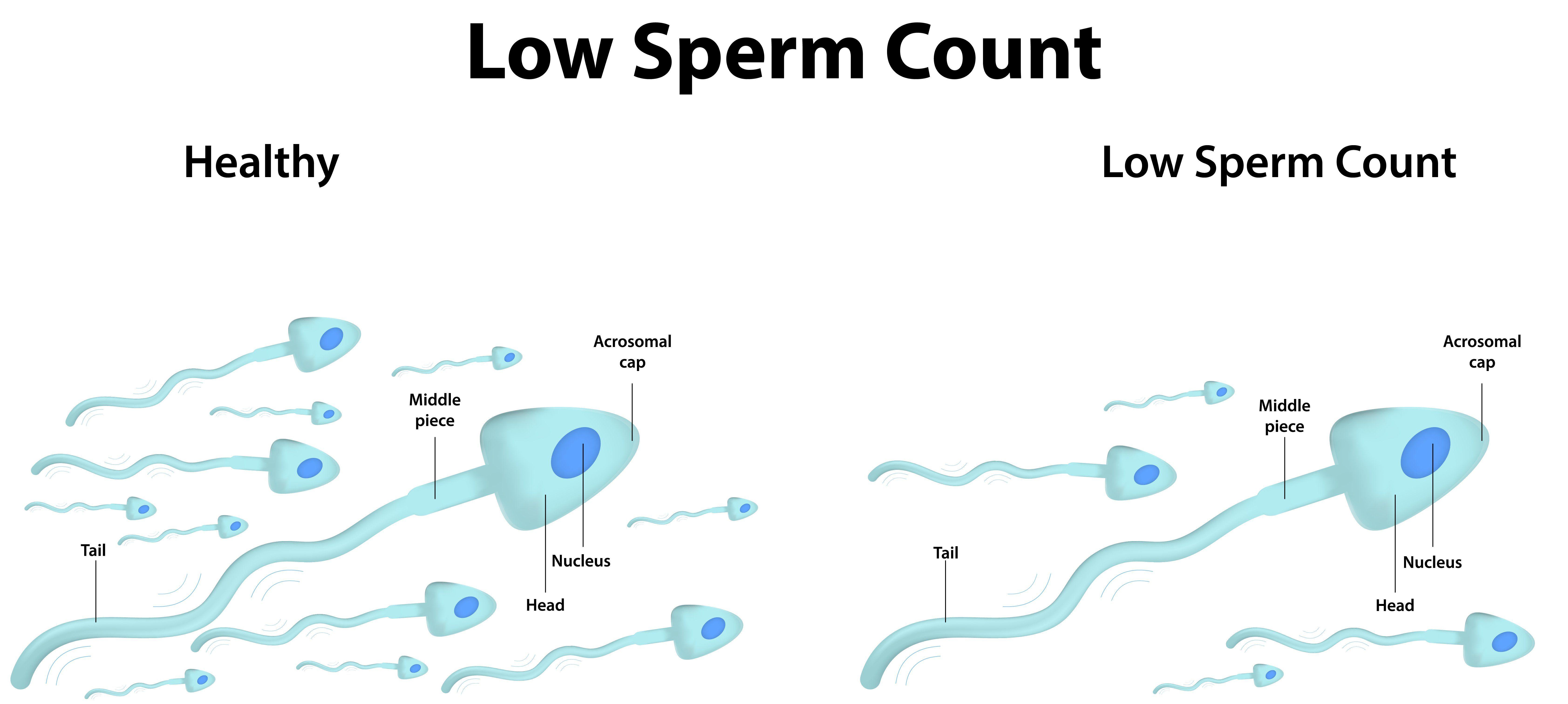 best of Count male sperm fertility Massive