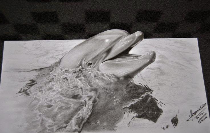 Cayenne reccomend Dolphin orgy optical illusion