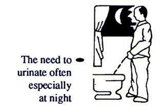 Quarterback reccomend Frequent peeing night
