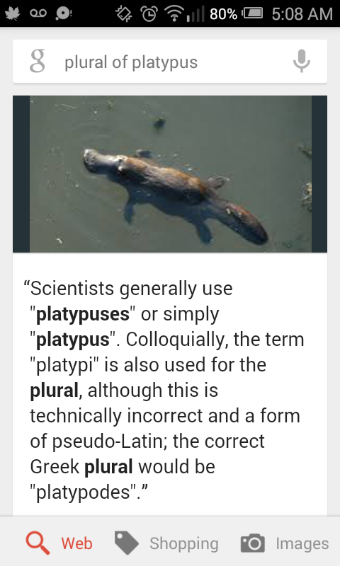 best of Facts about platypus Fun