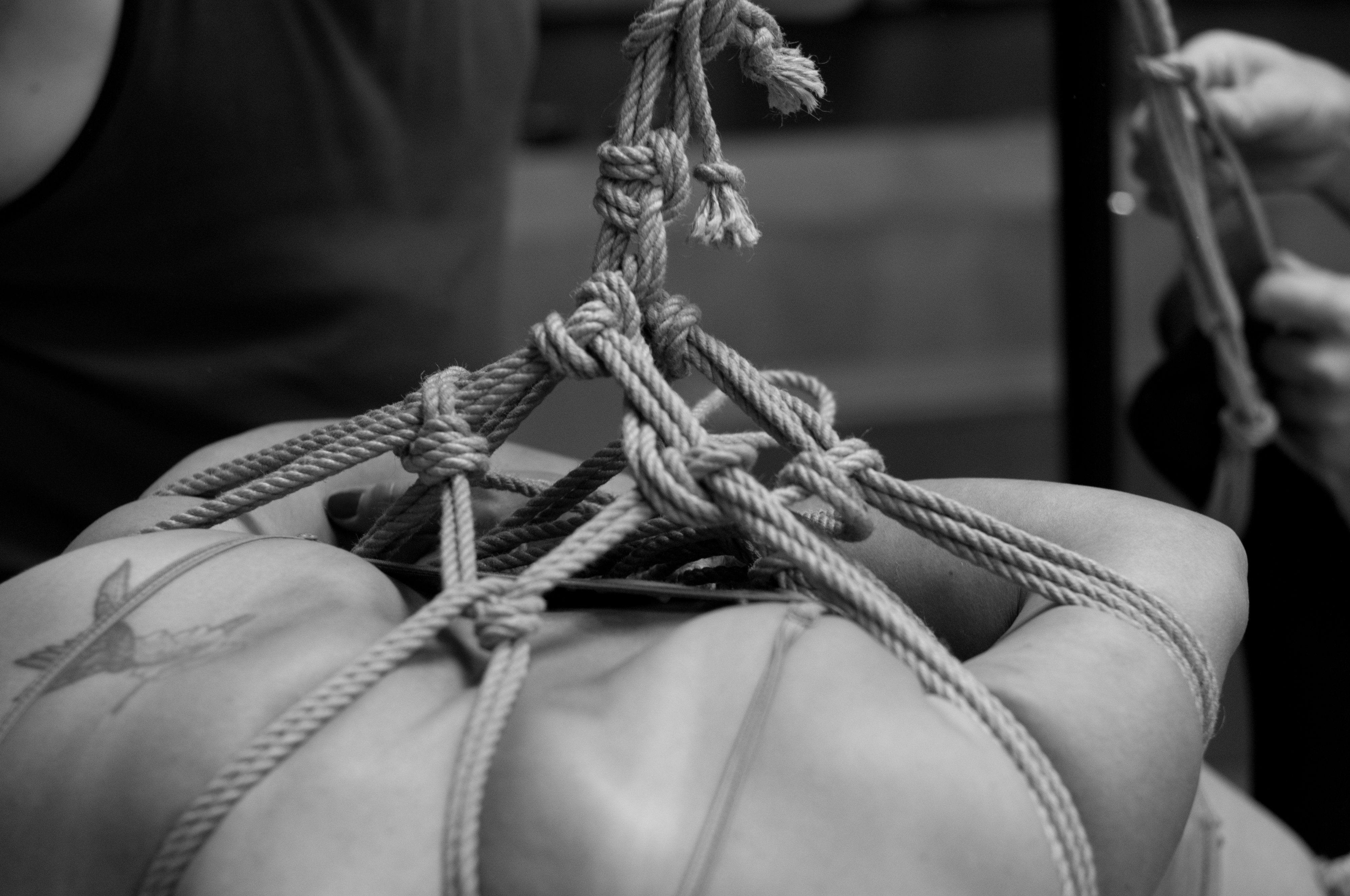 Japanese bondage and knots