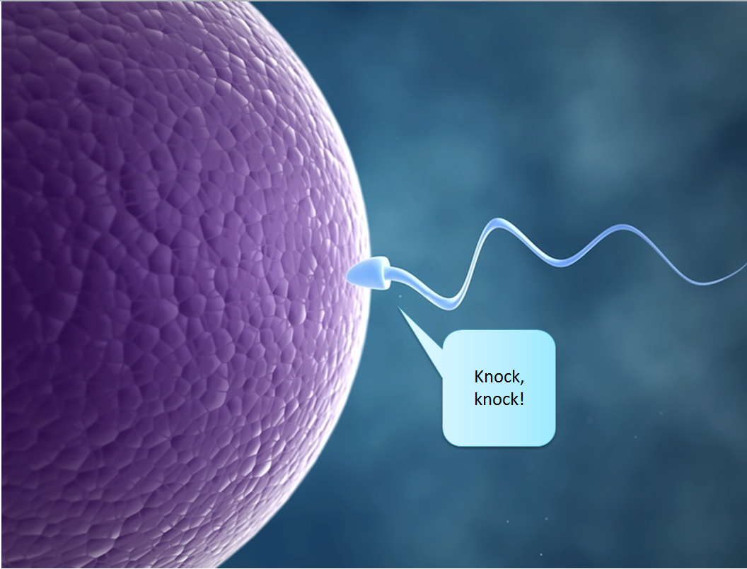 Sperm and egg not developing String xxx Pussy Sex Images