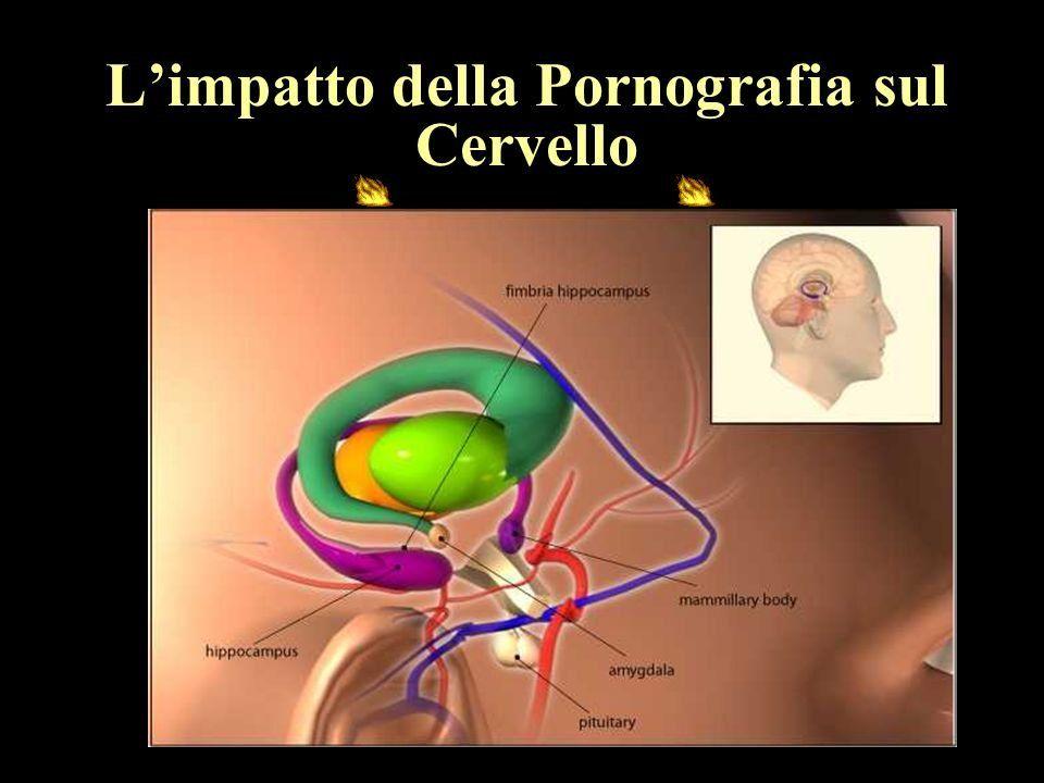best of The infantile Porno first place grafia