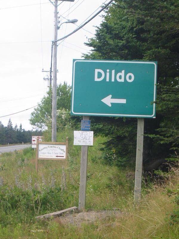 Art A. reccomend Dildo newfound land