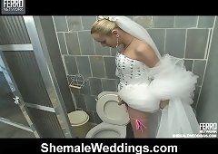 Beautiful shemale brides