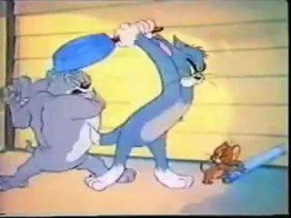 Genghis reccomend tom and jerry having gay sex