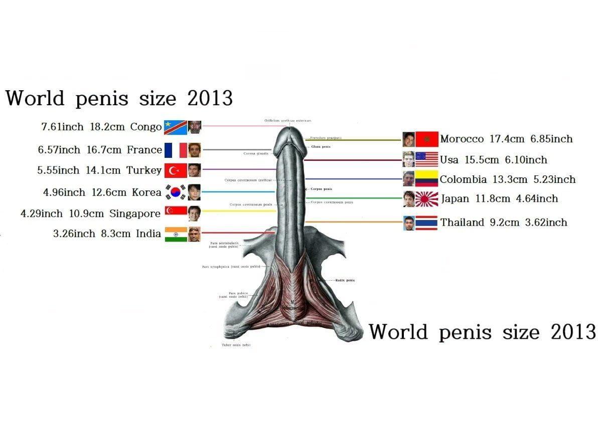 Mad D. reccomend world shortest cock size country ranking
