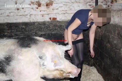 Casper reccomend girl penetration boar