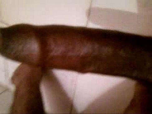 Big brown dick