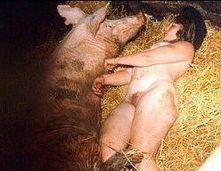 Lock S. reccomend girl penetration boar