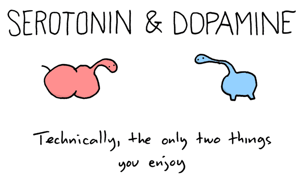 Dopamine and male orgasm