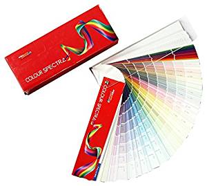 Mastadon reccomend Asian paint shade card