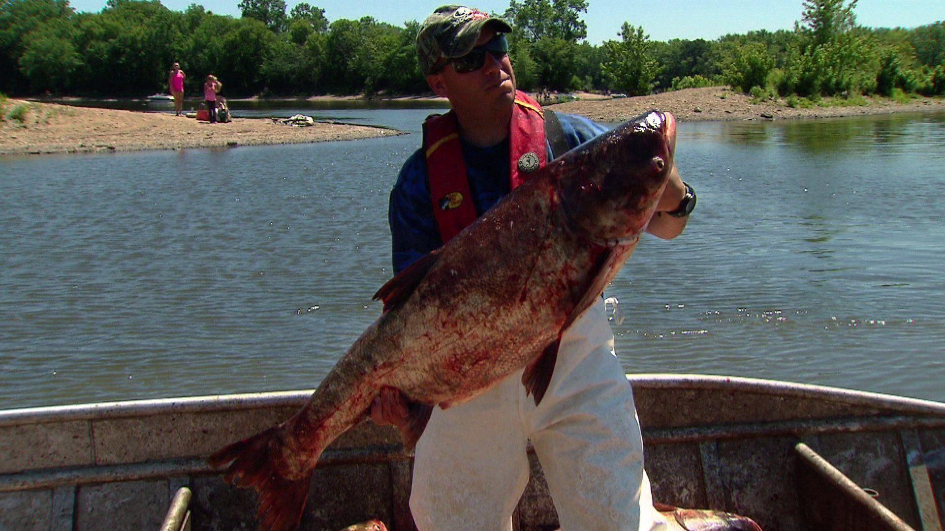 Asian carp infested waters