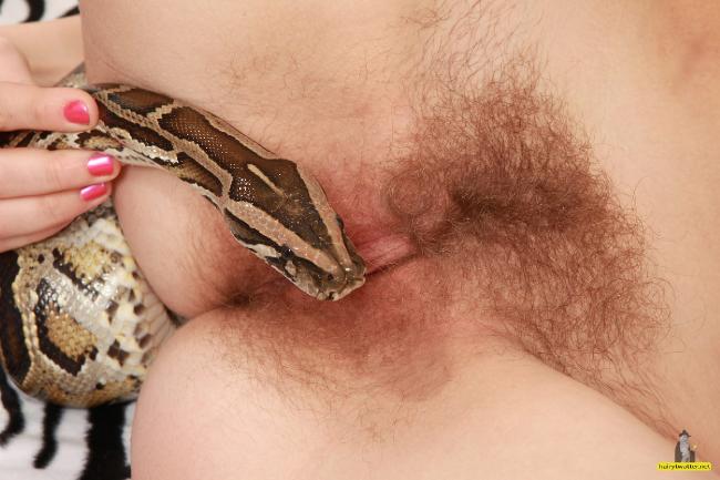 Pinkie reccomend Snake sex women porno