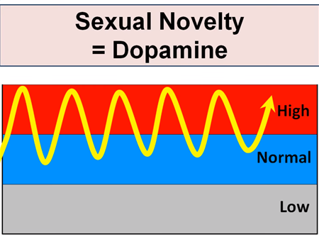 Dopamine and male orgasm