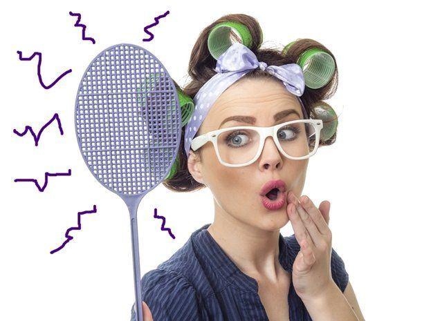 Tic T. reccomend Electric fly swatter bdsm