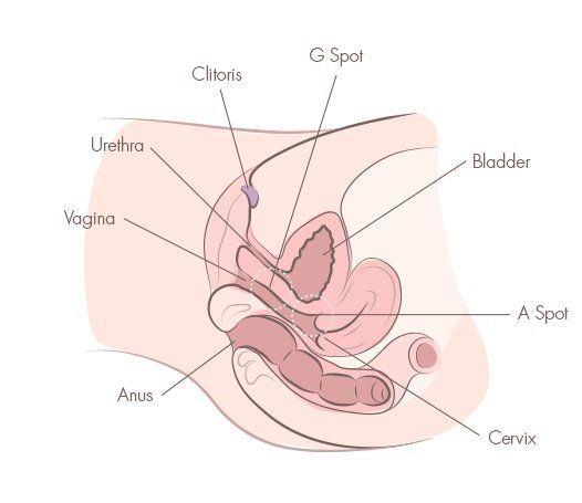 G-spot orgasm angle of penetration